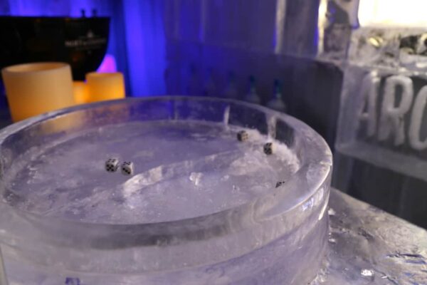 Bar de glace x Pastis 51 dans les Jardins du Marais - Paris – Image 10