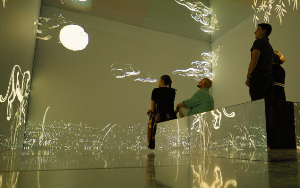 Box immersive Baccarat – Image 3